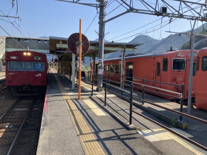 鉄道乗車記録の写真:乗車した列車(外観)(4)        「福トヨ キハ41。寺前駅1番のりば。」