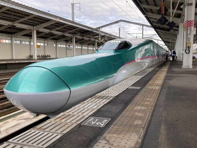 鉄道乗車記録の写真:乗車した列車(外観)(3)        「E5系仙センU36編成。古川駅12番線。」