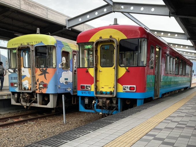 鉄道乗車記録の写真:乗車した列車(外観)(3)        「土佐くろしお鉄道TKT8000形。宿毛駅1番のりば。」