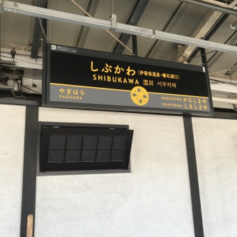 渋川駅から沼田駅の乗車記録(乗りつぶし)写真
