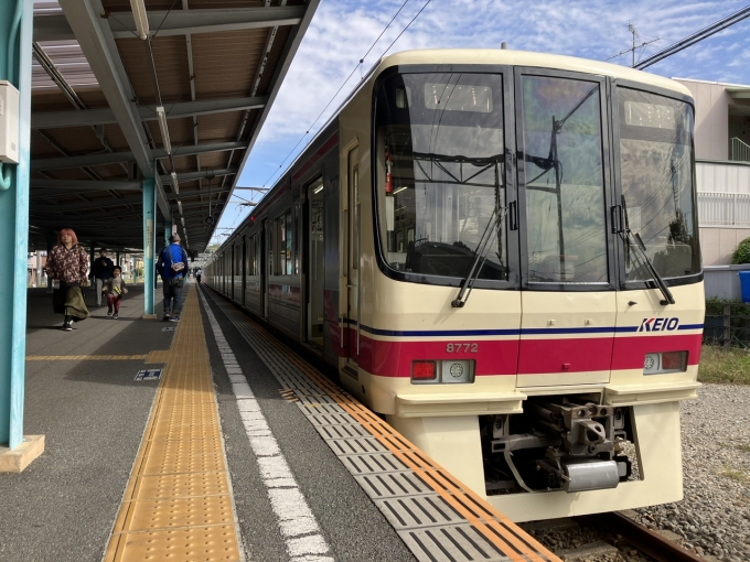 鉄道乗車記録の写真:乗車した列車(外観)(6)        「京王8000系8722F編成。府中競馬正門前駅1番線。」