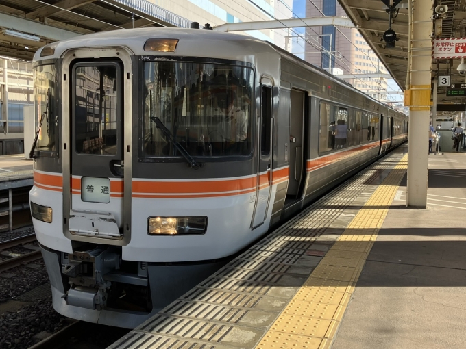 鉄道乗車記録の写真:乗車した列車(外観)(3)        「373系静シスF8編成+静シスF1編成。浜松駅3番線。」