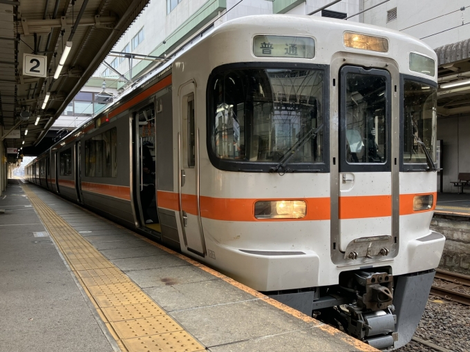 鉄道乗車記録の写真:乗車した列車(外観)(3)        「313系海カキY11編成。大垣駅2番線。」