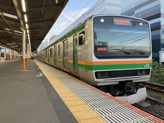 鉄道乗車記録の写真:乗車した列車(外観)(3)        「E231系横コツK-29編成。熱海駅2番線。」
