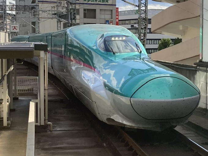 鉄道乗車記録の写真:乗車した列車(外観)(3)        「E5系仙セシU18編成。仙台駅11番線。」