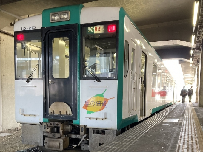 鉄道乗車記録の写真:乗車した列車(外観)(3)        「キハ111系仙ココ213編成。古川駅2番線。」