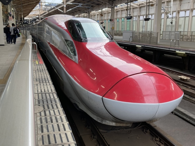 鉄道乗車記録の写真:乗車した列車(外観)(3)        「E6系秋アキZ14編成 。仙台駅13番線。」