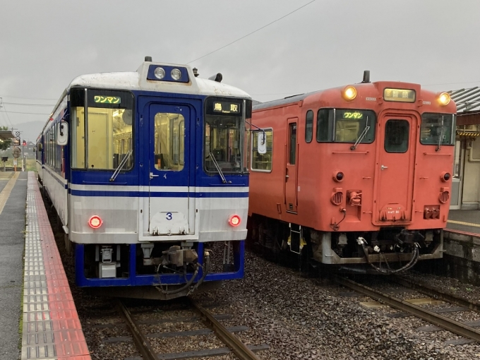 鉄道乗車記録の写真:乗車した列車(外観)(7)        「智頭急行HOT3500形HOT3504＋HOT3503。」