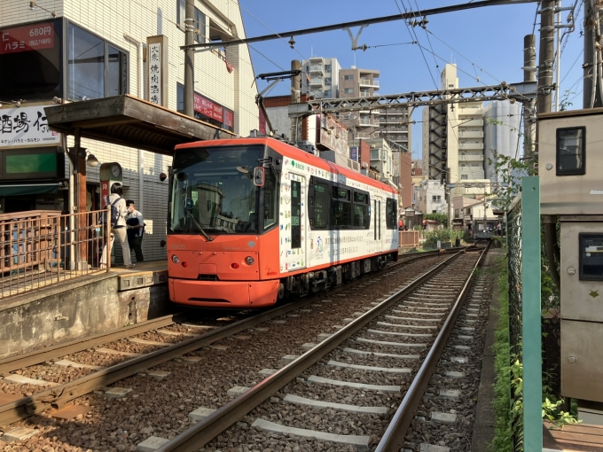 鉄道乗車記録の写真:乗車した列車(外観)(4)        「東京都交通局8800形。三ノ輪橋駅下車ホーム。」