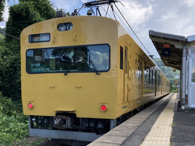 鉄道乗車記録の写真:乗車した列車(外観)(9)        「115系岡オカG-08編成。」