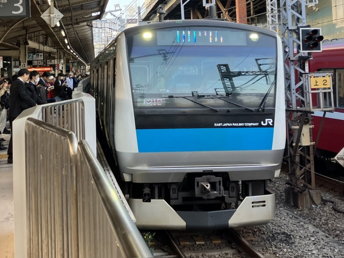 鉄道乗車記録の写真:乗車した列車(外観)(3)        「E233系宮サイ102編成。横浜駅3番線。」