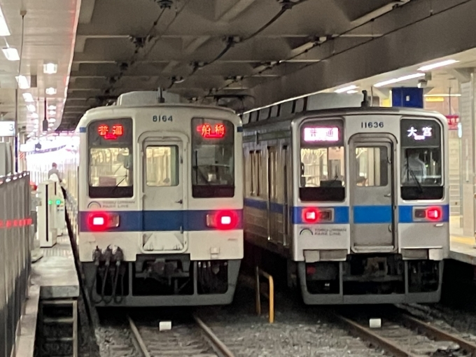 鉄道乗車記録の写真:乗車した列車(外観)(4)        「東武8000系8164F編成。柏駅3番線。」