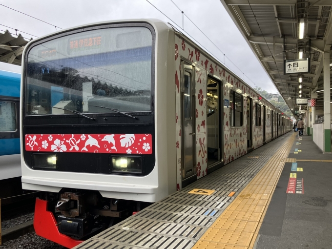 鉄道乗車記録の写真:乗車した列車(外観)(3)        「伊豆急行3000系Y1編成。熱海駅1番線。」
