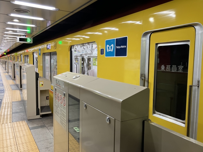 鉄道乗車記録の写真:乗車した列車(外観)(3)        「東京メトロ1000系1110F編成。東京メトロ浅草駅2番線。」
