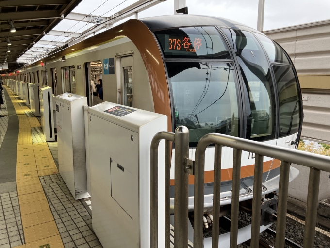 鉄道乗車記録の写真:乗車した列車(外観)(3)        「東京メトロ10000系10136F編成。新木場駅2番線。」
