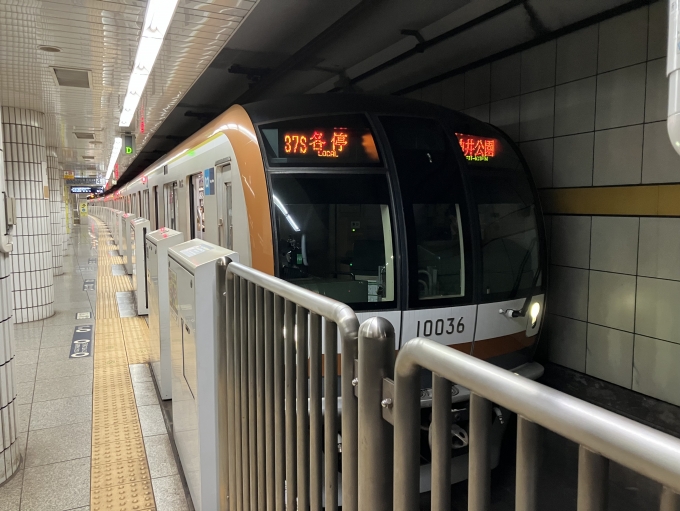 鉄道乗車記録の写真:乗車した列車(外観)(5)        「東京メトロ10000系10136F編成。豊洲駅4番線。」