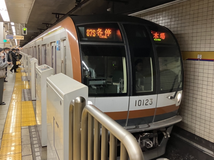 鉄道乗車記録の写真:乗車した列車(外観)(3)        「東京メトロ10000系10123F編成。東京メトロ池袋駅3番線。」