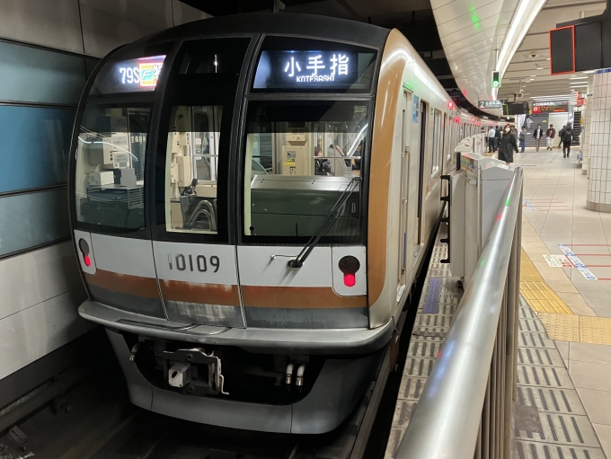 鉄道乗車記録の写真:乗車した列車(外観)(3)        「東京メトロ10000系10109F編成。東急横浜駅2番線。」