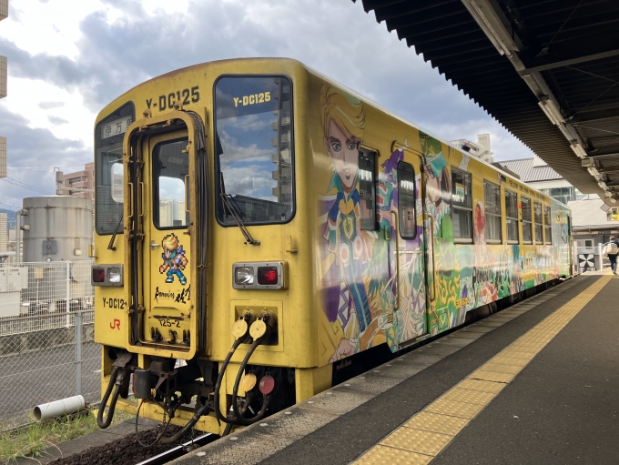 鉄道乗車記録の写真:乗車した列車(外観)(5)        「本カラ所蔵キハ125形。伊万里駅発着ホーム。」