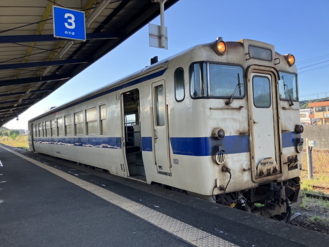 鉄道乗車記録の写真:乗車した列車(外観)(7)        「鹿カコ所属キハ40-8038。指宿駅3番のりば。」