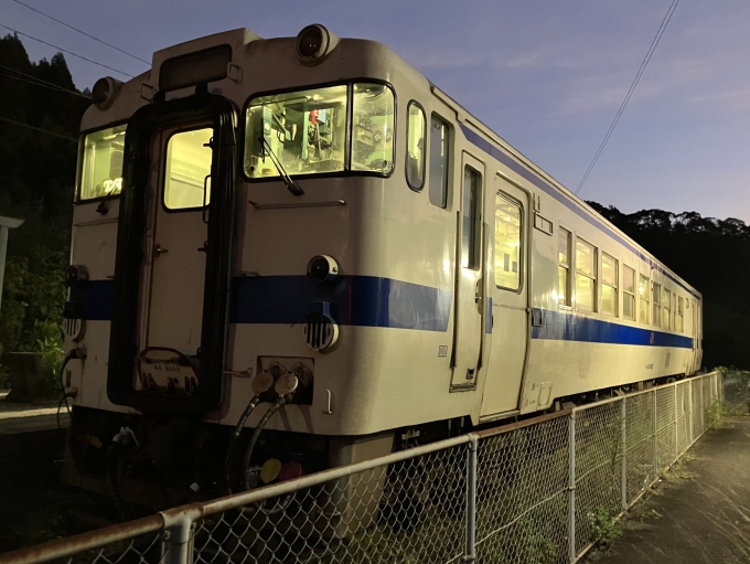 鉄道乗車記録の写真:乗車した列車(外観)(12)        「鹿ミサ所属キハ40 8065。伊比井駅下り線のりば。」