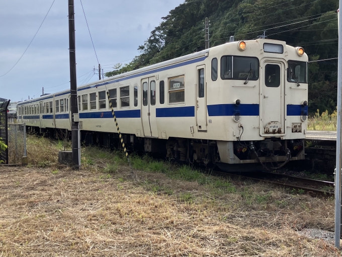 鉄道乗車記録の写真:乗車した列車(外観)(4)        「鹿ミサ所属キハ47 8119+キハ47 9083。油津駅1番のりば。」
