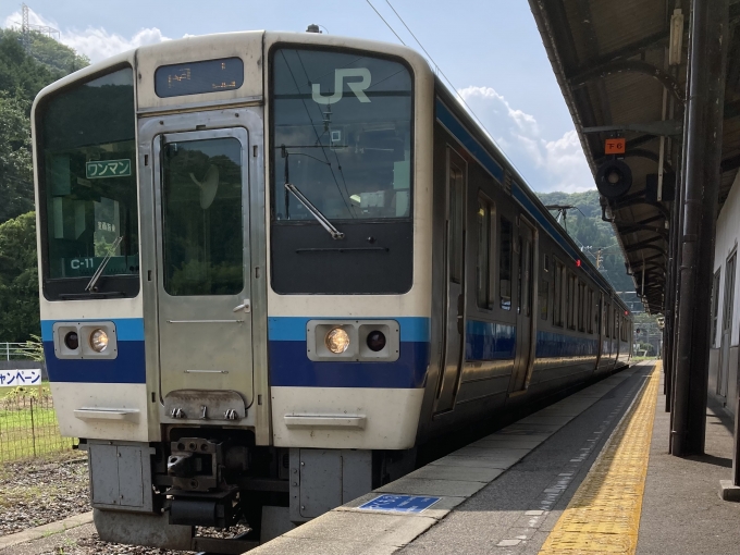 鉄道乗車記録の写真:乗車した列車(外観)(3)        「213系岡オカC11編成。新見駅6番のりば。」