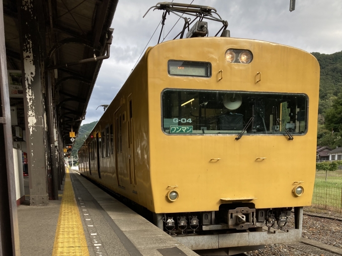 鉄道乗車記録の写真:乗車した列車(外観)(3)        「115系岡オカG-04編成。新見駅6番のりば。」