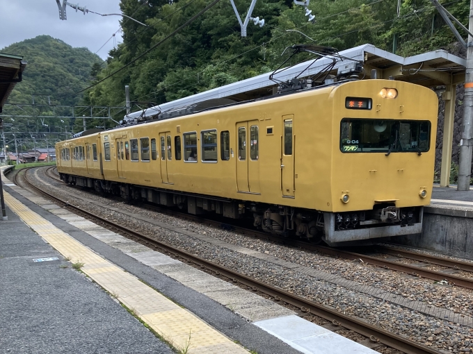鉄道乗車記録の写真:乗車した列車(外観)(6)        「115系岡オカG-04編成。生山駅2番のりば。」
