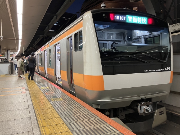 鉄道乗車記録の写真:乗車した列車(外観)(3)        「E233系八トタT71編成。東京駅1番線。」