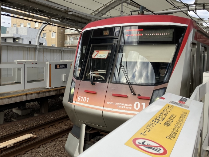 鉄道乗車記録の写真:乗車した列車(外観)(3)        「東急6000系6101F編成。旗の台駅5番線。」
