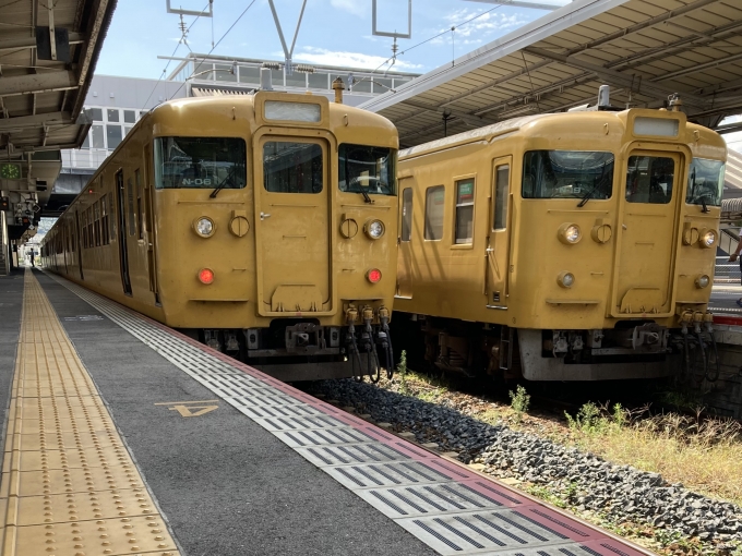 鉄道乗車記録の写真:乗車した列車(外観)(3)        「115系広セキN-06編成。新山口駅6番のりば。」