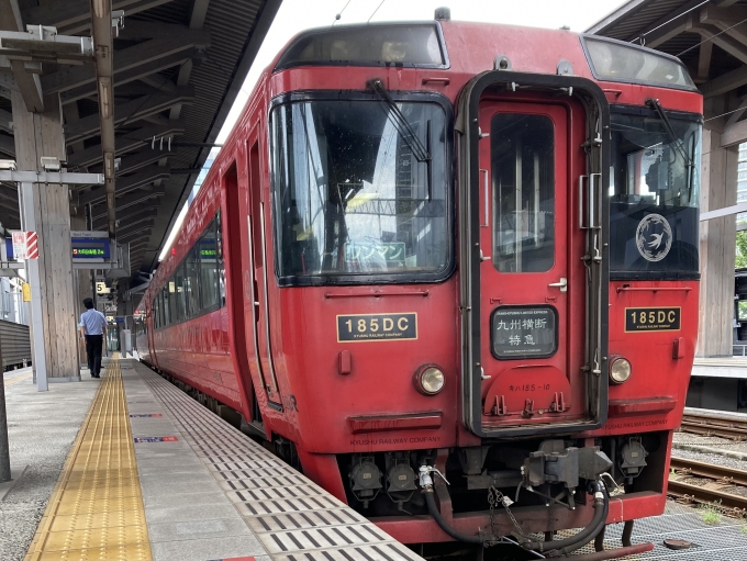 鉄道乗車記録の写真:乗車した列車(外観)(3)        「分オイ所属キハ185-10＋キハ185-1011。熊本駅5番のりば。」