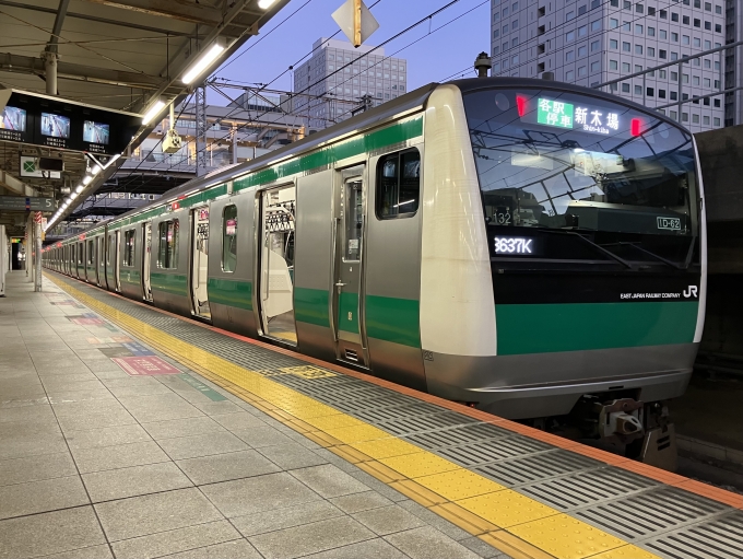 鉄道乗車記録の写真:乗車した列車(外観)(3)        「E233系宮ハエ132編成。大崎駅5番線。」