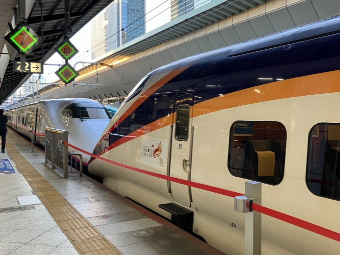 鉄道乗車記録の写真:乗車した列車(外観)(4)        「E3系新幹線仙カタL69編成+E2系新幹線仙セシJ75編成。東京駅22番線。」