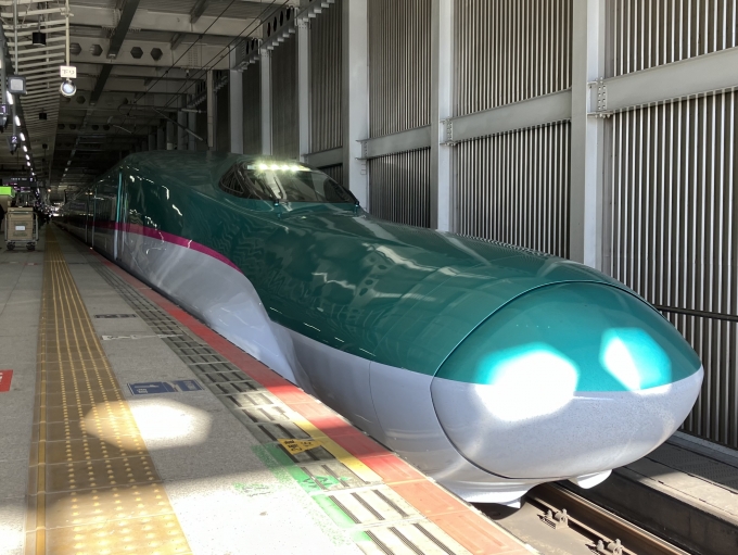 鉄道乗車記録の写真:乗車した列車(外観)(3)        「E5系新幹線仙セシU49編成。仙台駅14番線。」