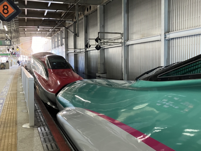 鉄道乗車記録の写真:列車・車両の様子(未乗車)(4)        「秋田新幹線上り3016Mこまち16号E6系新幹線秋アキZ14編成7両を併結。」