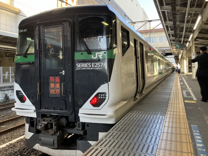 鉄道乗車記録の写真:乗車した列車(外観)(3)        「E257系宮オオOM54編成。高崎駅2番線。」