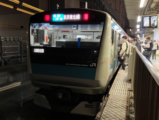 鉄道乗車記録の写真:乗車した列車(外観)(3)        「E233系宮サイ129編成。東神奈川駅1番線。」