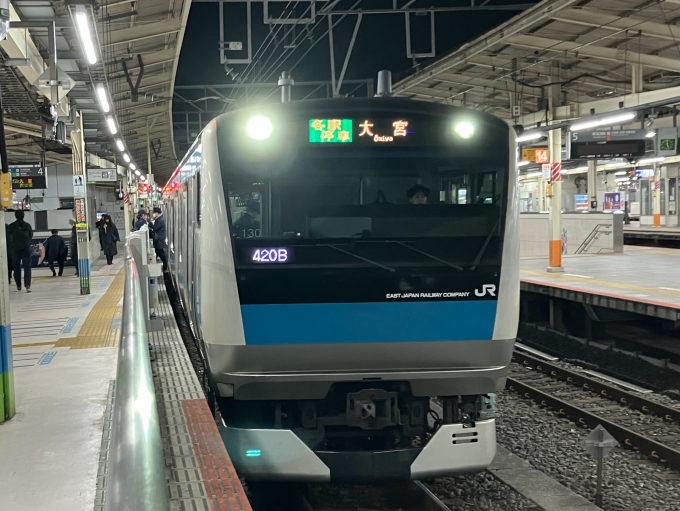 鉄道乗車記録の写真:乗車した列車(外観)(3)        「E233系宮サイ130編成。横浜駅4番線。」