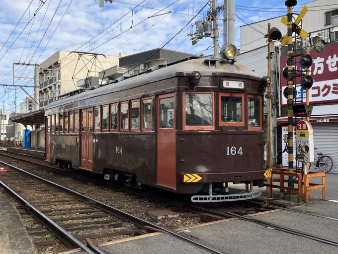 鉄道乗車記録の写真:列車・車両の様子(未乗車)(6)        「阪堺電気軌道モ161形電車。」