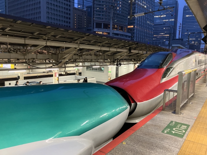 鉄道乗車記録の写真:乗車した列車(外観)(4)        「6系新幹線北アキZ14編成+E5系新幹線仙セシU42編成。東京駅20番線。」