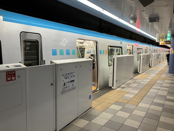 鉄道乗車記録の写真:乗車した列車(外観)(3)        「仙台市営地下鉄2000系2111編成。八木山動物公園駅2番線。」