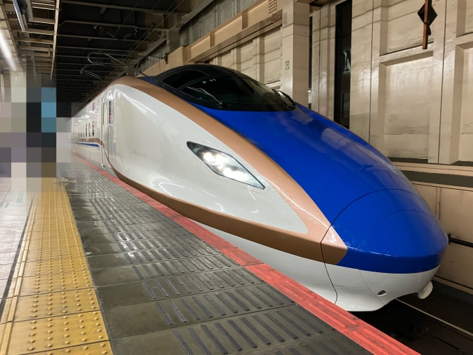 鉄道乗車記録の写真:乗車した列車(外観)(3)        「長野新幹線車両センター 所属E7系新幹線 F11編成。大宮駅18番線。」