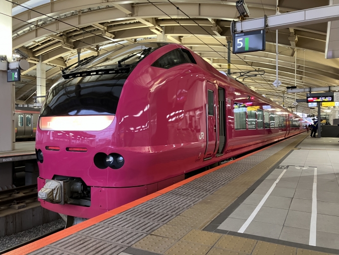 鉄道乗車記録の写真:乗車した列車(外観)(2)        「E653系新ニイU107編成。新潟駅5番線。」