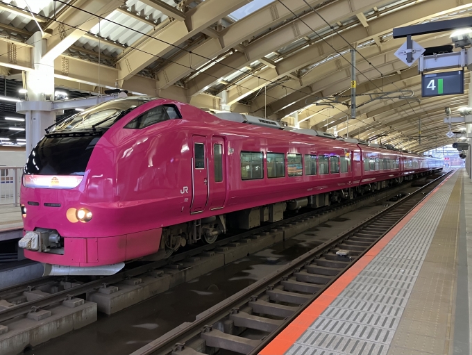 鉄道乗車記録の写真:乗車した列車(外観)(3)        「E653系新ニイU107編成。新潟駅5番線。」