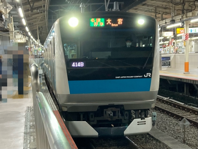 鉄道乗車記録の写真:乗車した列車(外観)(3)        「E233系宮サイ114編成。横浜駅4番線。」
