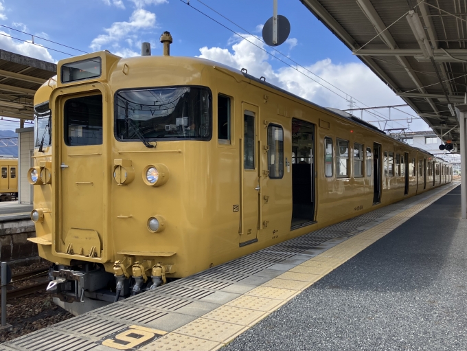 鉄道乗車記録の写真:乗車した列車(外観)(3)        「115系中オカD-14編成。糸崎駅2番のりば。」