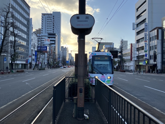 鉄道乗車記録の写真:駅舎・駅施設、様子(6)        