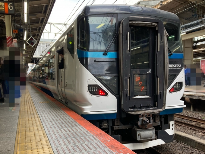 鉄道乗車記録の写真:乗車した列車(外観)(3)        「E257系宮オオNA02編成。横浜駅6番線。」